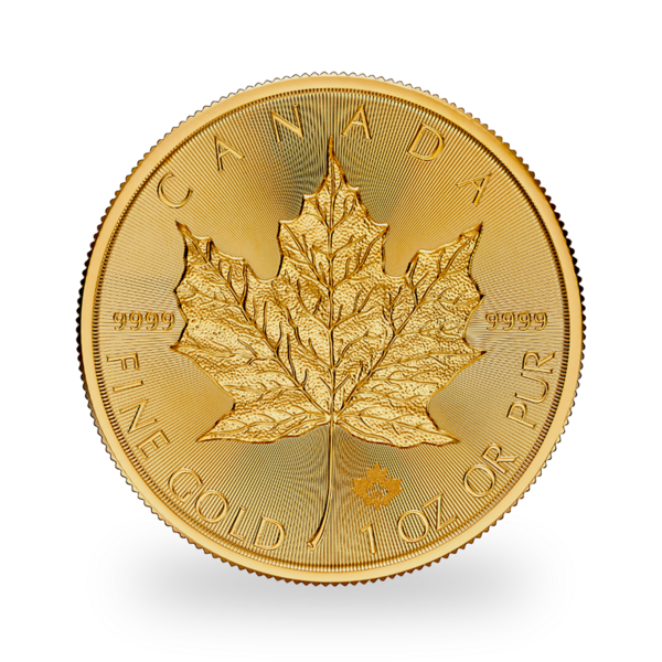 Maple Leaf or 1 once - Tube de 10 - 2024 - Royal Canadian Mint