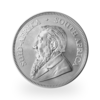 Pièce d'argent Krugerrand 1 once | Tube de 25 | 2026 | South African Mint