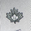 Maple Leaf platine 1 once - Tube de 10 - 2016 - Royal Canadian Mint