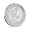 Pièce d'argent Kangarou 1 once | Monster Box de 250 | 2018 | Perth Mint