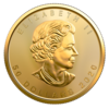 Maple Leaf or 1 once - Tube de 10 - 2020 - Royal Canadian Mint