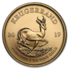 Krugerrand or 1 once - Tube de 10 - 2019 - South African Mint