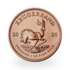 Krugerrand or 1 once | Tube de 10 | 2025 | South African Mint