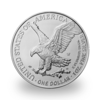 American Eagle argent 1 once - Monster box de 500 - 2023 - US Mint