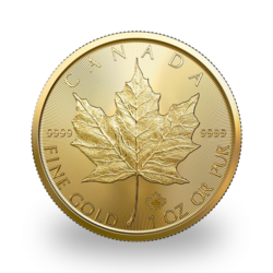 Maple Leaf or 1 once - Tube de 10 - 2022 - Royal Canadian Mint