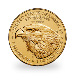 American Eagle or 1 once - Tube de 10 - 2024 - US Mint