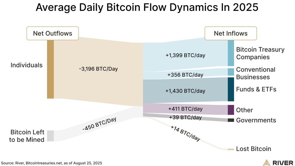Dynamique moyenne quotidienne des flux de bitcoins en 2025